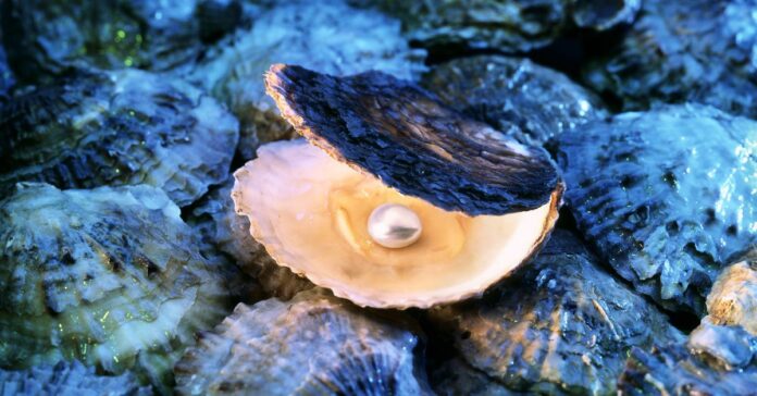 A pearl inside an oyster shell