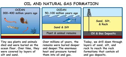 How Oil Formed